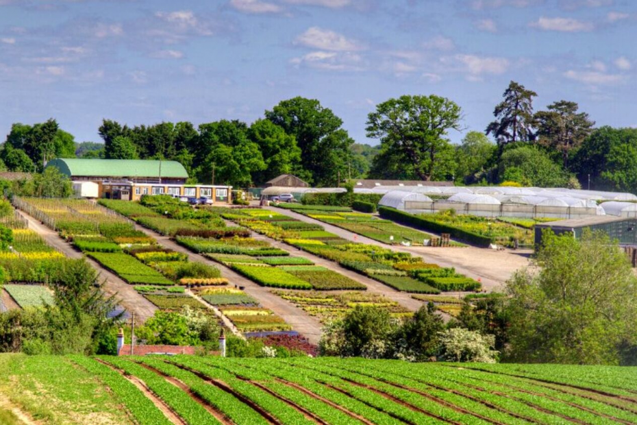 Klimaatbestendigheid, biodiversiteit en herkomst wegen steeds zwaarder mee in de teeltkeuzes van kwekers