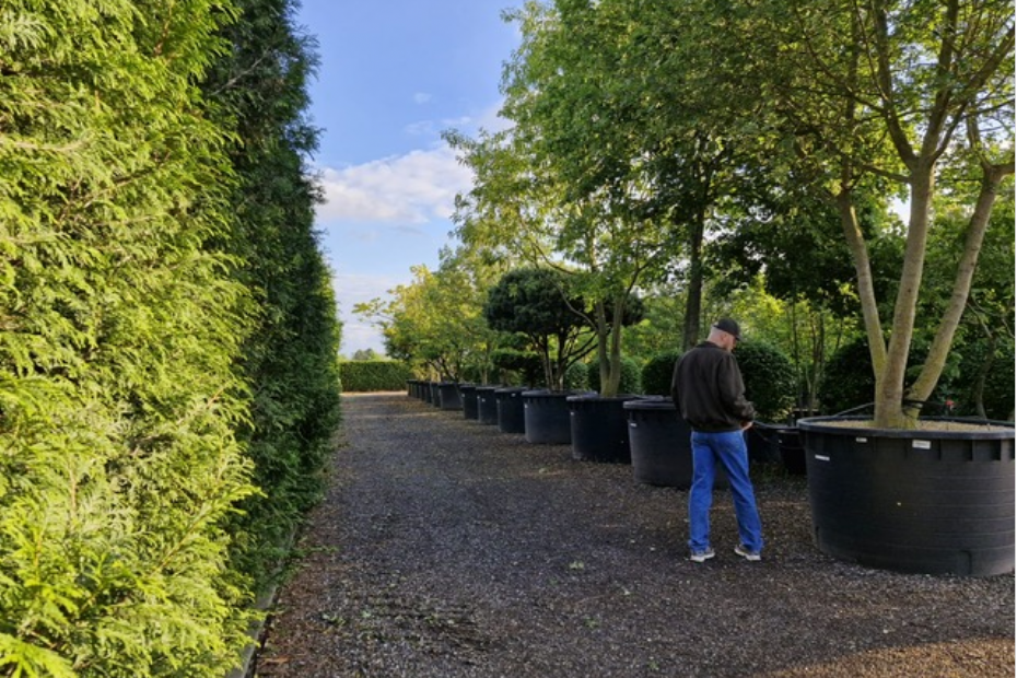 'Bomen en planten zijn geen industri�le artikelen die op korte termijn kunnen worden bijgemaakt'