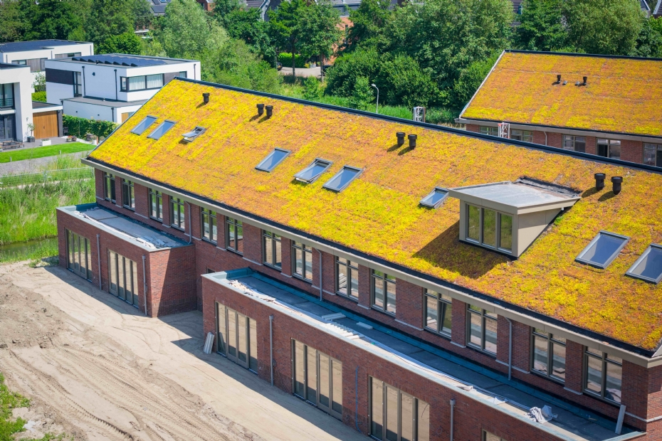 Dit dak is een mooi voorbeeld van een project in aanleg tijdens droogte. Het project is nog in aanbouw en het irrigatiesysteem is nog niet aangesloten. Het dak hoort uiteindelijk groen te zijn, maar het misstaat niet als het rood kleurt door droogte