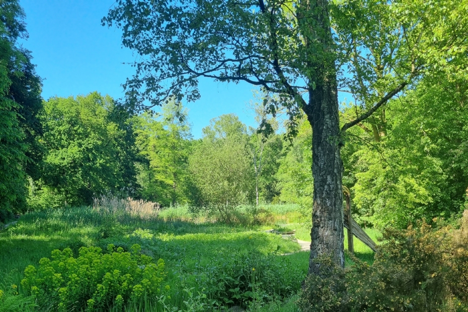 Beeld NWST ter illustratie: Park Brakkenstein