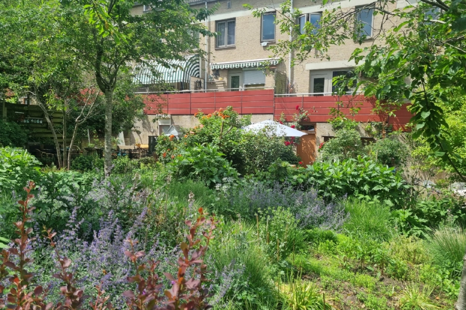 Beeld NWST ter illustratie: groen in de benedenstad van Nijmegen