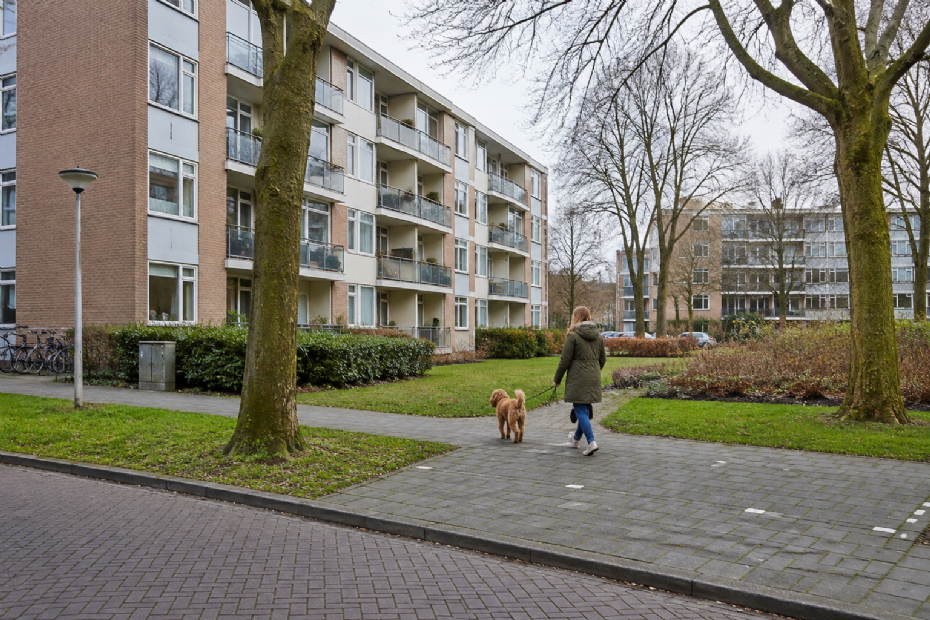 Beeld ter illustratie, gegenereerd met AI