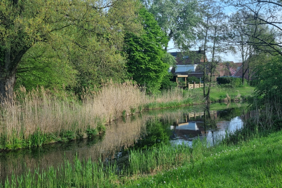 Beeld NWST, ter illustratie