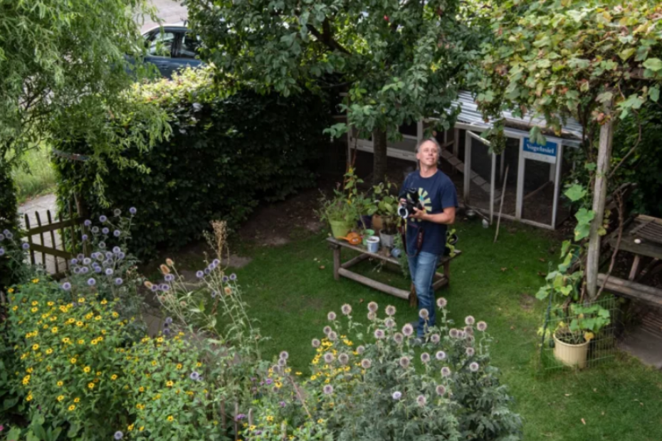 Beeld: IPC Groene Ruimte