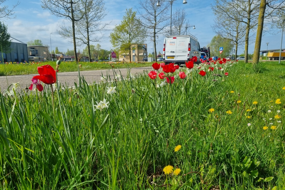 Beeld NWST, ter illustratie