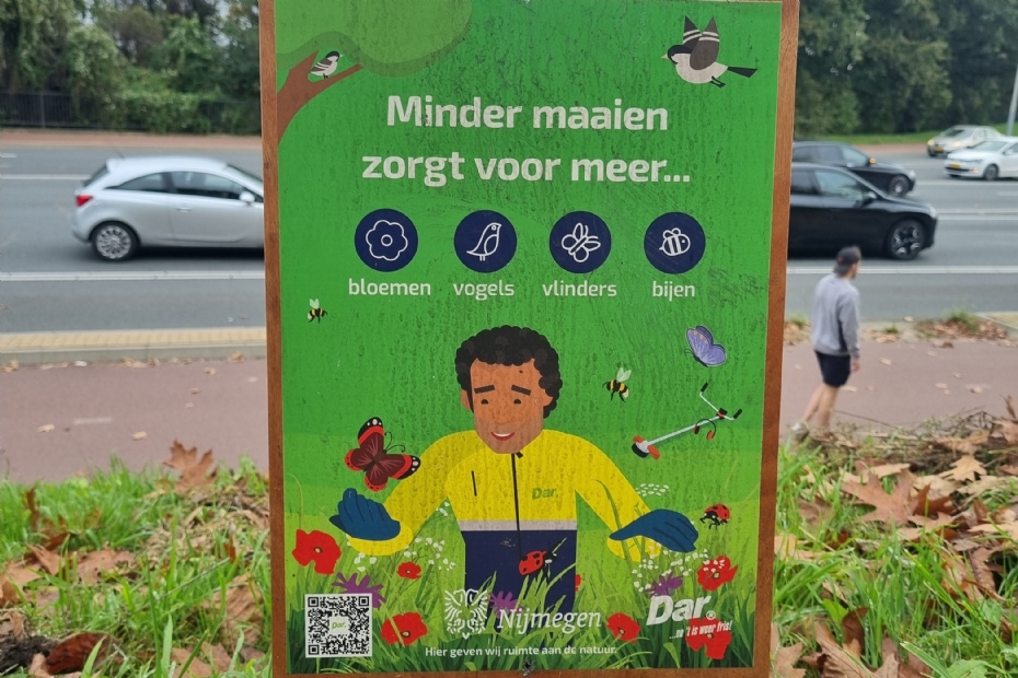 Beeld NWST, ter illustratie